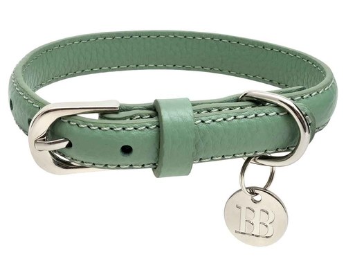 BUDDY BELLE WILLOW RANGE LEATHER COLLAR CLOVER M My Pet Warehouse