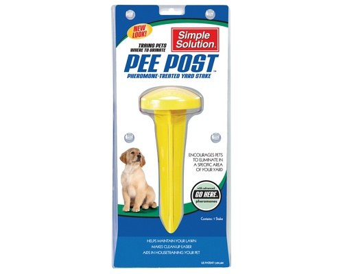 5 Ways To Stop Dog Urine Killing Grass My Pet Warehouse