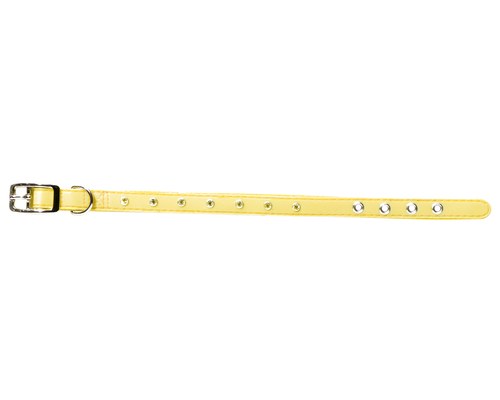 yellow puppy collar