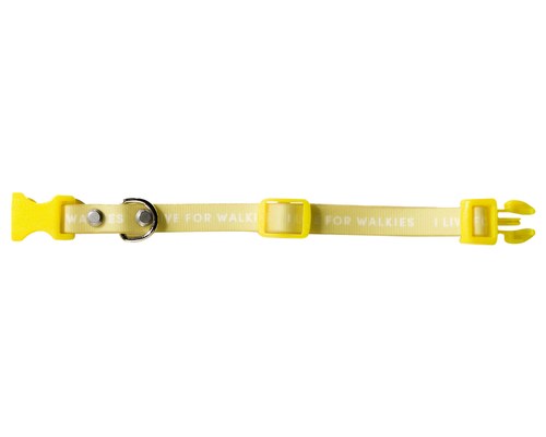yellow puppy collar