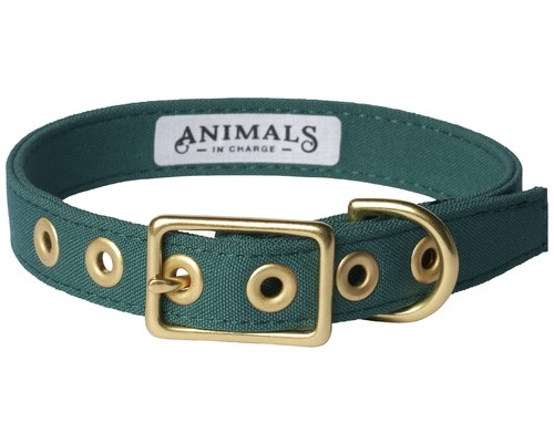 dark green dog lead