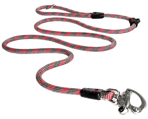 dog leash cost