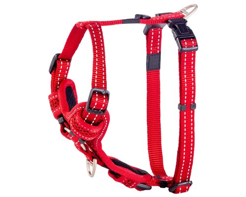 ROGZ CONTROL HARNESS RED MEDIUM - My Pet Warehouse