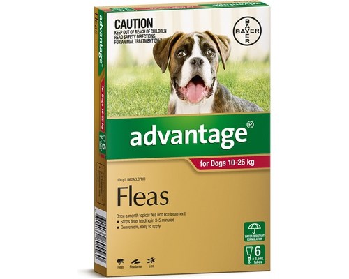 flea tick and worming