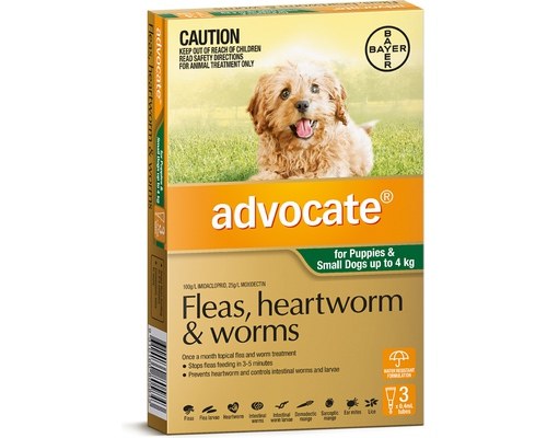 advocate flea heartworm and worm treatment for dogs