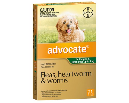 ADVOCATE FOR SMALL DOGS UP TO 4KG 1 