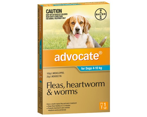 advocate for dogs for sale