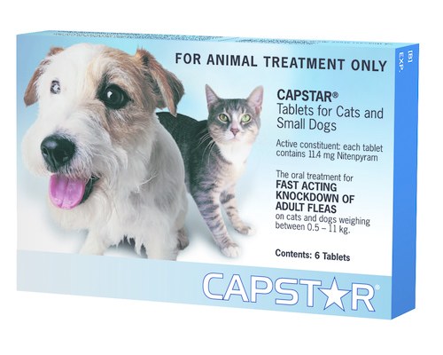 Capstar for cats clearance uk