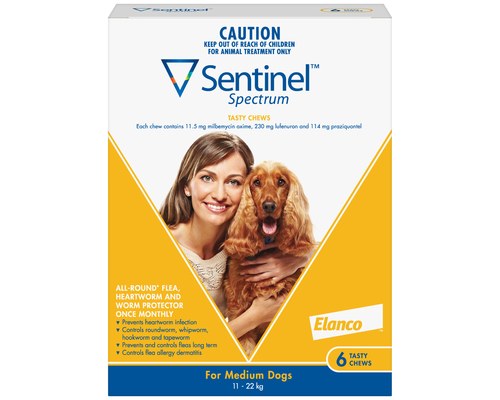 sentinel blue 6 pack