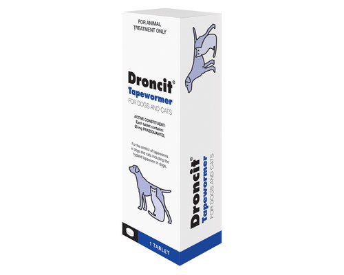 worm medicine for dogs and cats