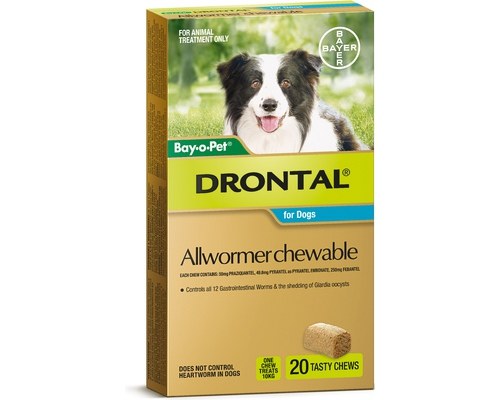 drontal all wormer chewable