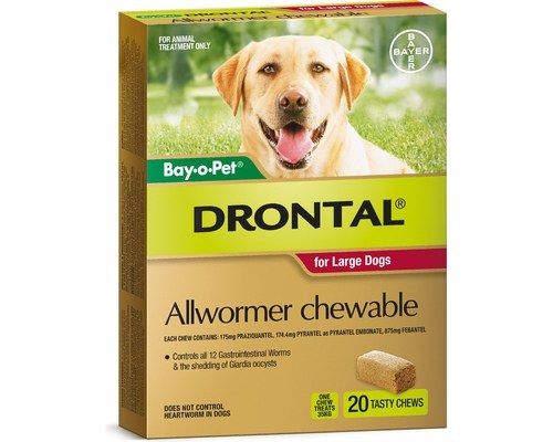 DRONTAL ALLWORMER CHEWABLE FOR LARGE 