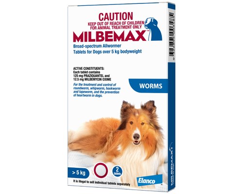 milbemax dog