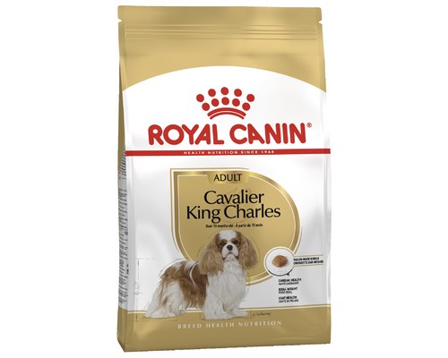 royal canin cavalier king charles junior