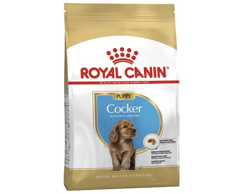 royal canin dachshund junior