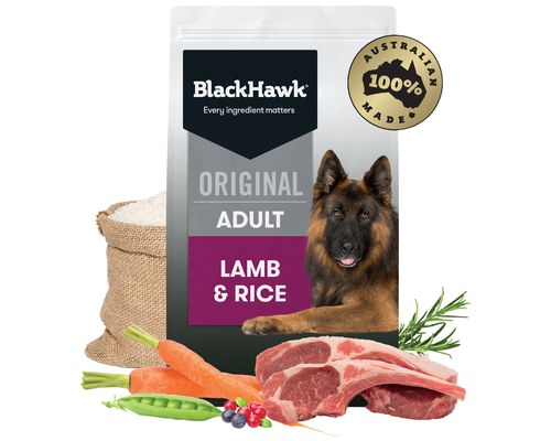 black hawk adult lamb and rice 20kg