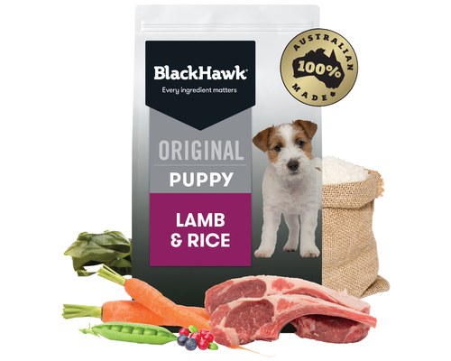 black hawk 20kg puppy