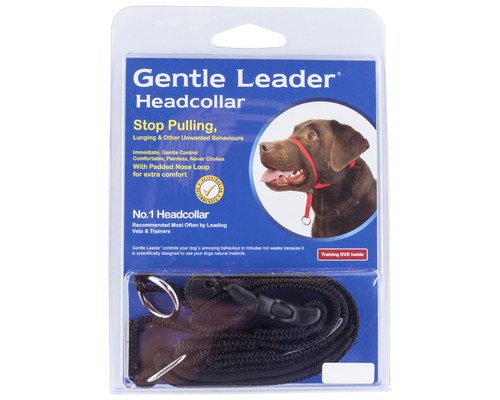 dog muzzle to stop pulling