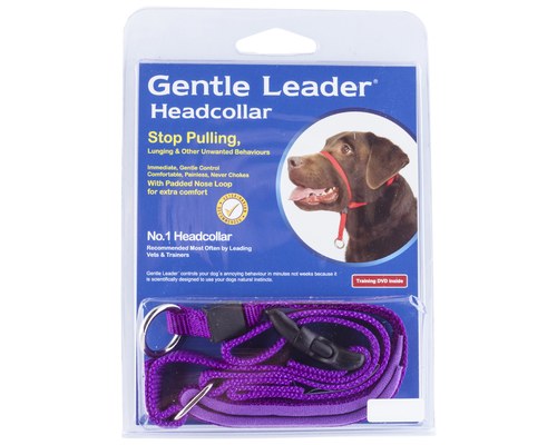 purple gentle leader