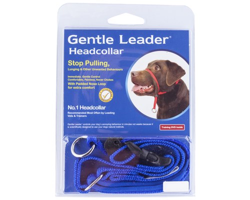 dog lead nose strap