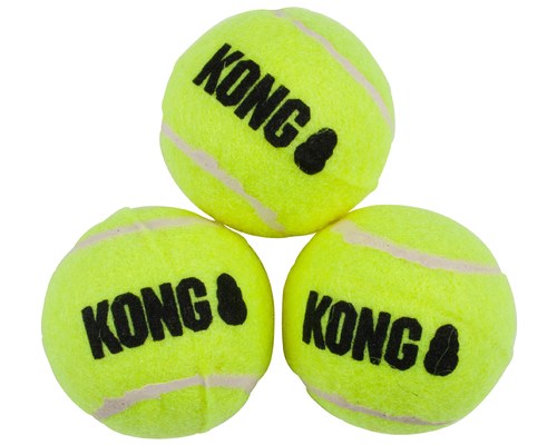 kong squeaky tennis balls