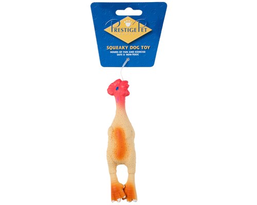 squeaky chicken