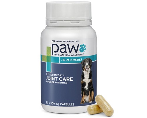 Joint health hotsell for dogs