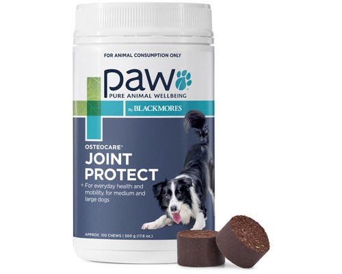 PAW OSTEOCARE JOINT HEALTH CHEWS 500G 