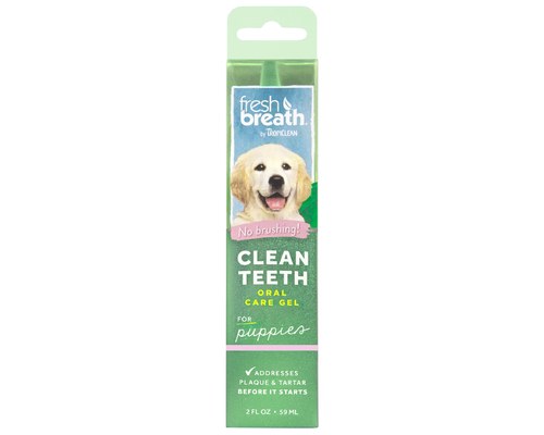 Fresh breath shop clean teeth