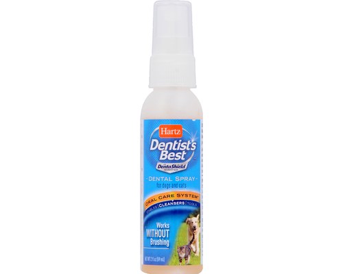 dental spray