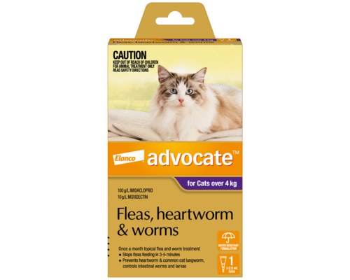 ADVOCATE FOR CATS OVER 4KG 1 PACK (PURPLE) - My Pet Warehouse