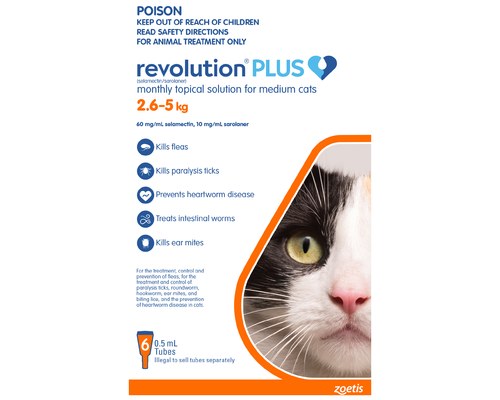 revolution plus cat orange