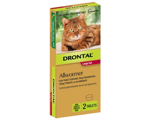 DRONTAL ALLWORMER FOR LARGE CATS 6KG 2 