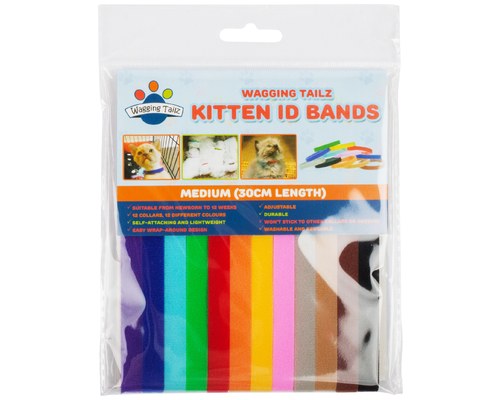 kitten id bands