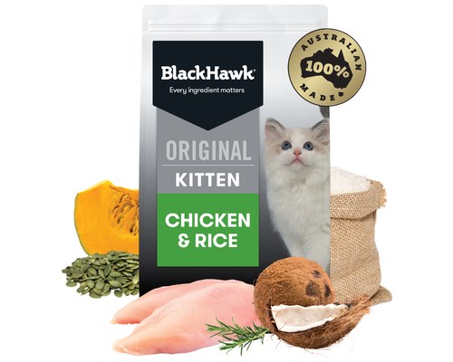 black hawk kitten 3kg