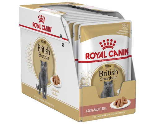 Best dry food for british shorthair sale