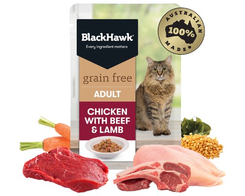 blackhawk cat food