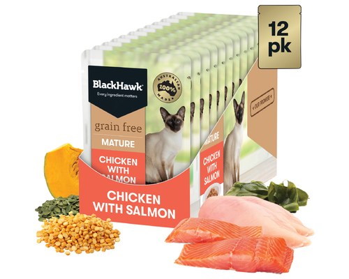 Black hawk grain outlet free cat food