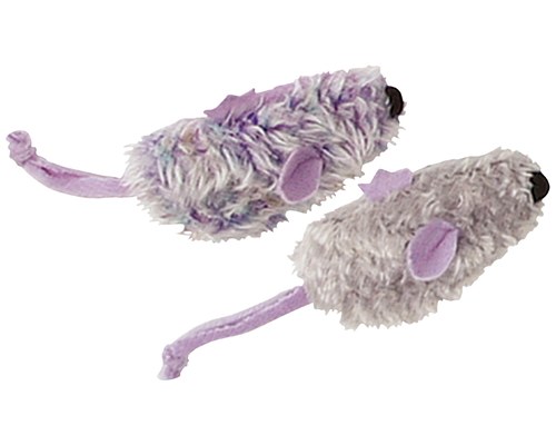 dogs and catnip toys