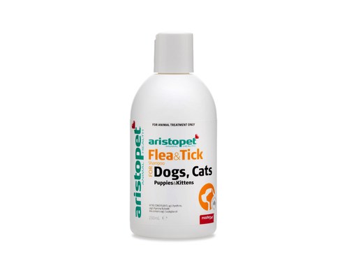 Can You Use Human Shampoo On Dogs My Pet Warehouse