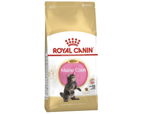 royal canin my kitten