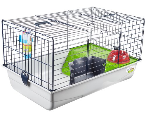 Guinea pig clearance starter kit