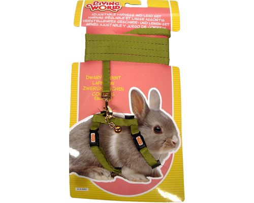 Dwarf 2025 bunny leash