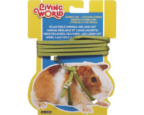 Guinea pig harness and leash sale