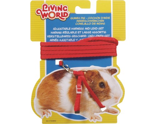 LIVING WORLD GUINEA PIG HARNESS LEAD SET RED My Pet Warehouse