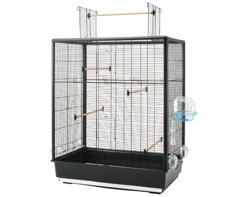 bird cage online buy