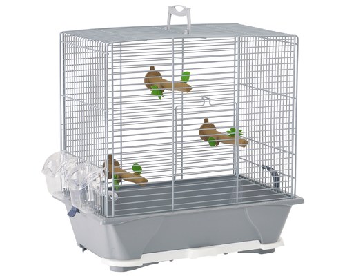 bird cage online buy