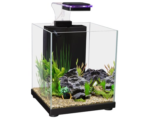 small glass tank