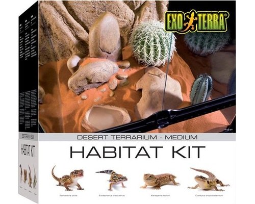 Exo Terra Terrarium Desert Habitat Kit Medium My Pet Warehouse