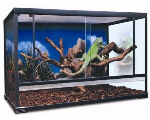 urs reptile enclosure